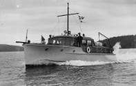 PELORUS on patrol, Sydney Harbour about 1939. Photographer unknown ANMM Collection Halvorsen Bo…