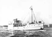 DAVARA on Sydney Harbour about 1946. Photographer unknown  ANMM Collection Halvorsen Boats phot…