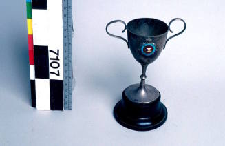 RMS NARKUNDA, P&O Line trophy