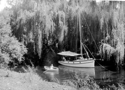 Photograph depicting the cruiser MALUKA moored on the MacDonald river