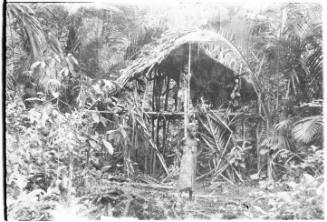 View of a stilted hut in the jungle