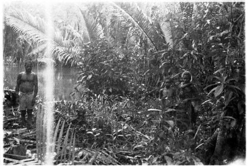 View of three people in a jungle setting