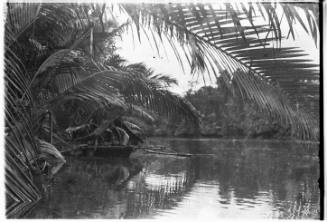 View of an outrigger canoe on a river's edge