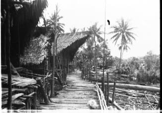 View along the walkway in front of thatched houses