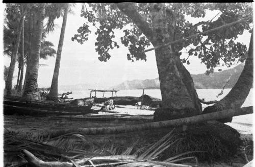 View of canoe and trees along water's edge 