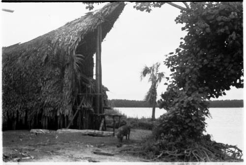 Partial view of a long house on a beachfront  