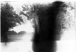 Partial view of a beach landscape 