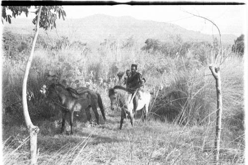 View of a man and a child riding a horse 