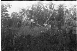 View of people standing in wooded setting 