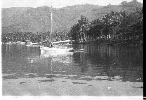 View of a moored yacht near a palm lined shore