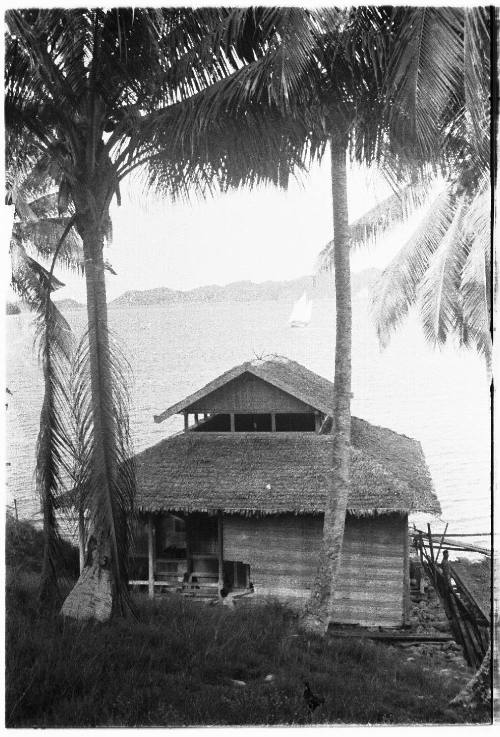 View of a hut on the water's edge framed by palm trees 