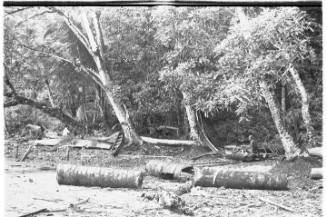 View of logs and upturned canoes on a beach