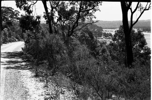 View of a dirt road at Killcare, New South Wales 