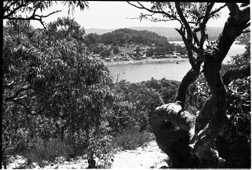 View through trees down to Hardys Bay