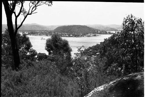 View through bush towards distant headland