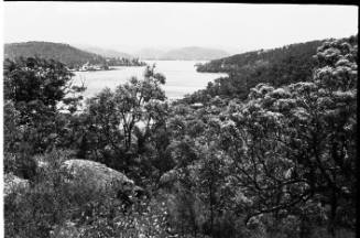 View across bushland towards a distant bay 