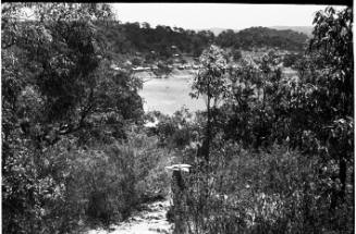 View down a bush path towards a distant headland 