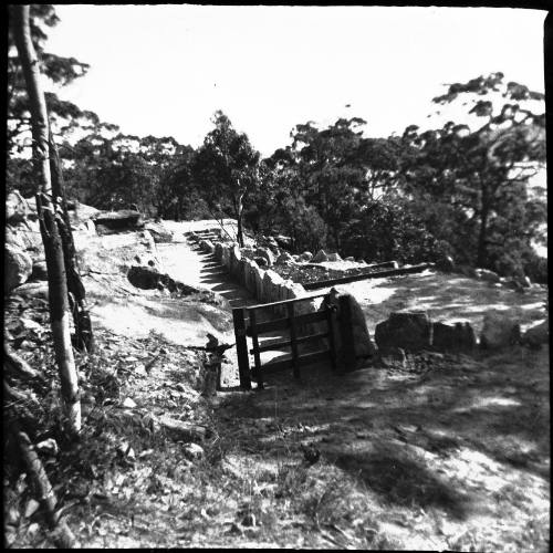 View of cleared area with sandstone edging 