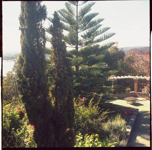 View of the garden at Oskar Speck's house at Killcare 