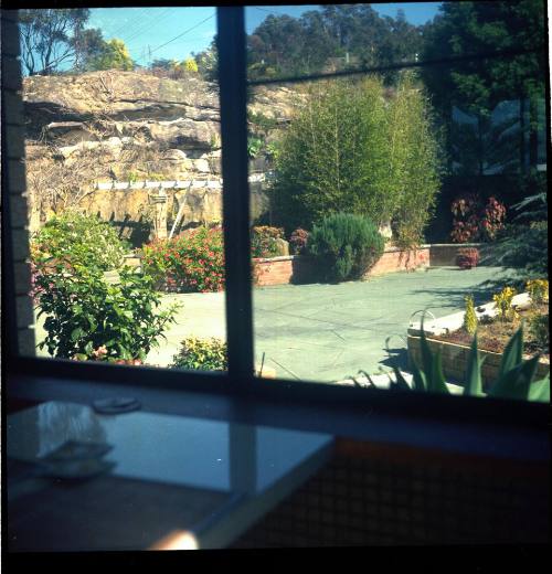 View of a courtyard at Oskar Speck's house at Killcare 