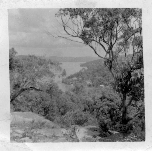 View across bushland to a distant bay 