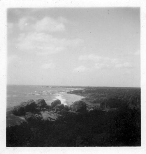 View down the Sri Lankan coastline 