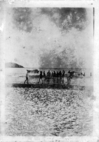 View of a small  crowd next to a lagoon full of fish