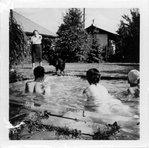 View of people swimming in a backyard pool