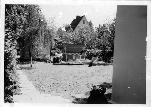 View of a backyard with a swing chair and dog