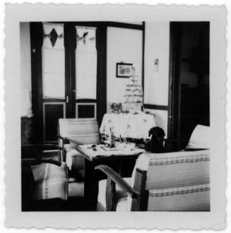 View of a small Christmas tree in a sitting room 