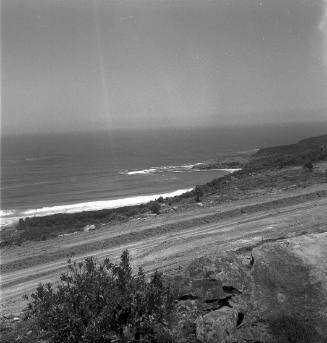 View of a coastal dirt road 