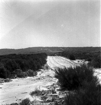 View of a sand road through a coastal landscape 