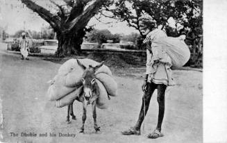 Postcard titled The Dhobie and his Donkey collected by Oskar Speck