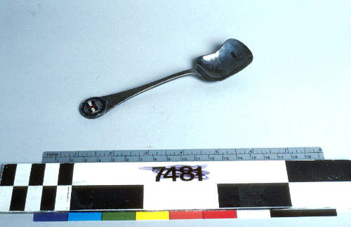 SS DIMBOOLA trophy - sugar spoon