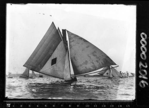 18-footers sailing on Sydney Harbour