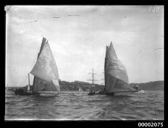 Starboard view of two 18-footers on Sydney Harbour