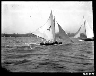 14-footer VISION sailing on Sydney Harbour