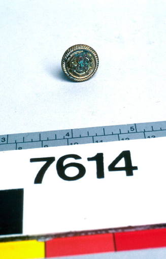 Uniform button from Adelaide Steamship Company Limited.