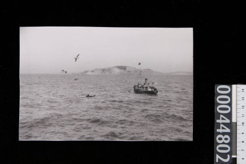 NEW AUSTRALIA's pilot being taken to the Pilot Vessel