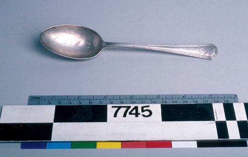 Adelaide Steamship Company Ltd. dessert spoon