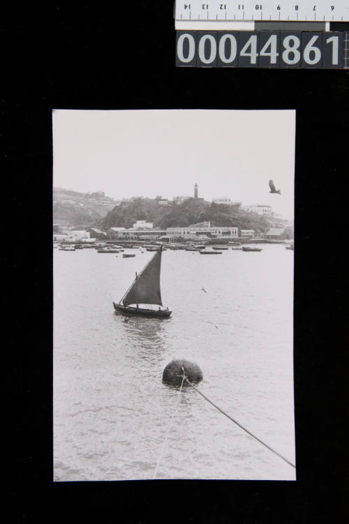 A small dhow sailing in Aden Harbour, Yemen