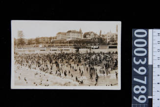 Coogee Beach, NSW