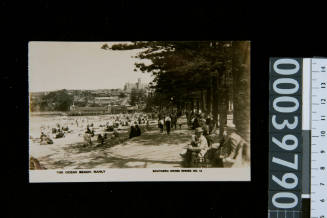 Swimmers and sunbathers at Manly beach