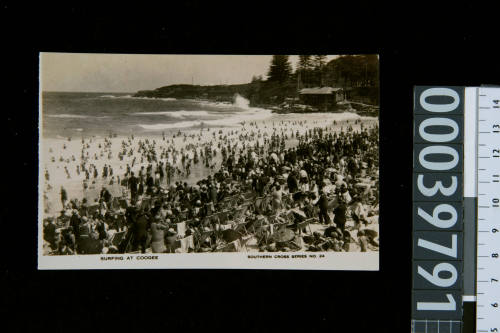 Surfing at Coogee