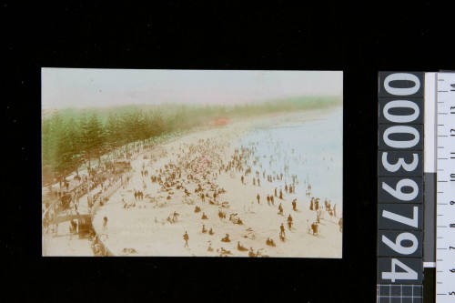 Swimmers and sunbathers at Manly beach