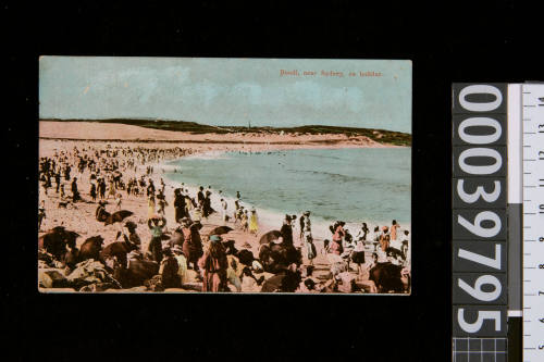 Swimmers and sunbathers at Bondi beach