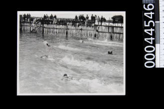 Swimming race at Harbour Baths