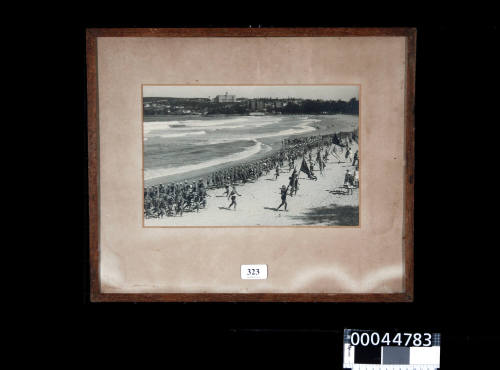 Beach parade - Surf lifesaving muster at North Steyne provides a glimpse of the sturdy physique of our world famous beach men