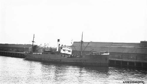 The cargo ship SS LAHENA