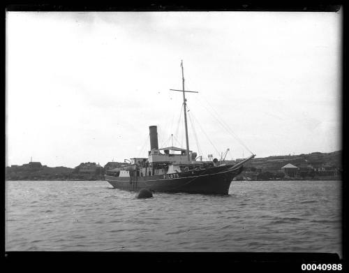 SS CAPTAIN COOK pilot steamer anchored to buoy, Watsons Bay, 9 March 1924